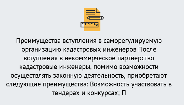 Почему нужно обратиться к нам? Ртищево Что дает допуск СРО кадастровых инженеров?