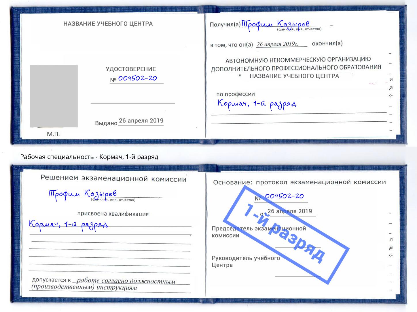корочка 1-й разряд Кормач Ртищево