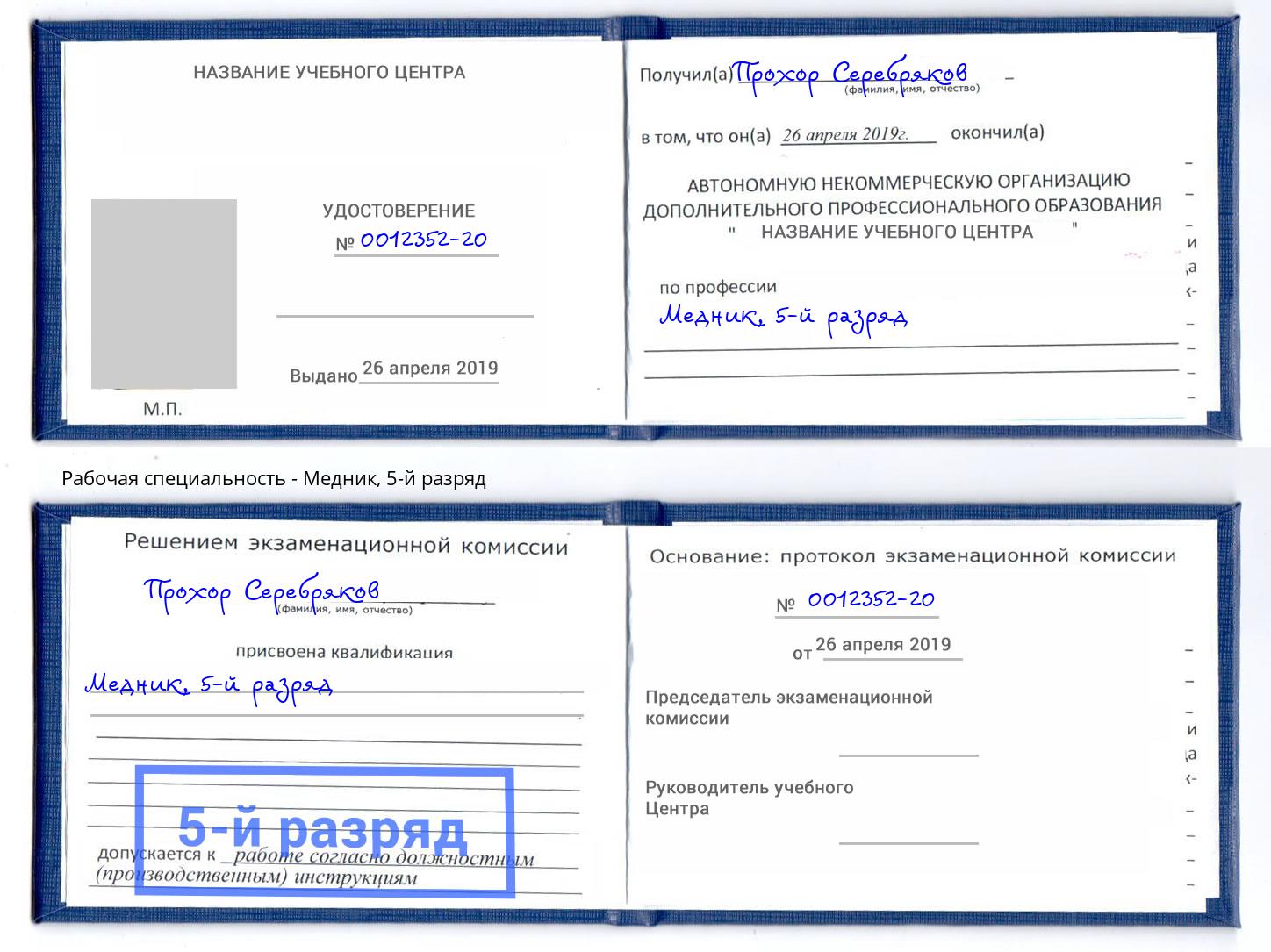 корочка 5-й разряд Медник Ртищево